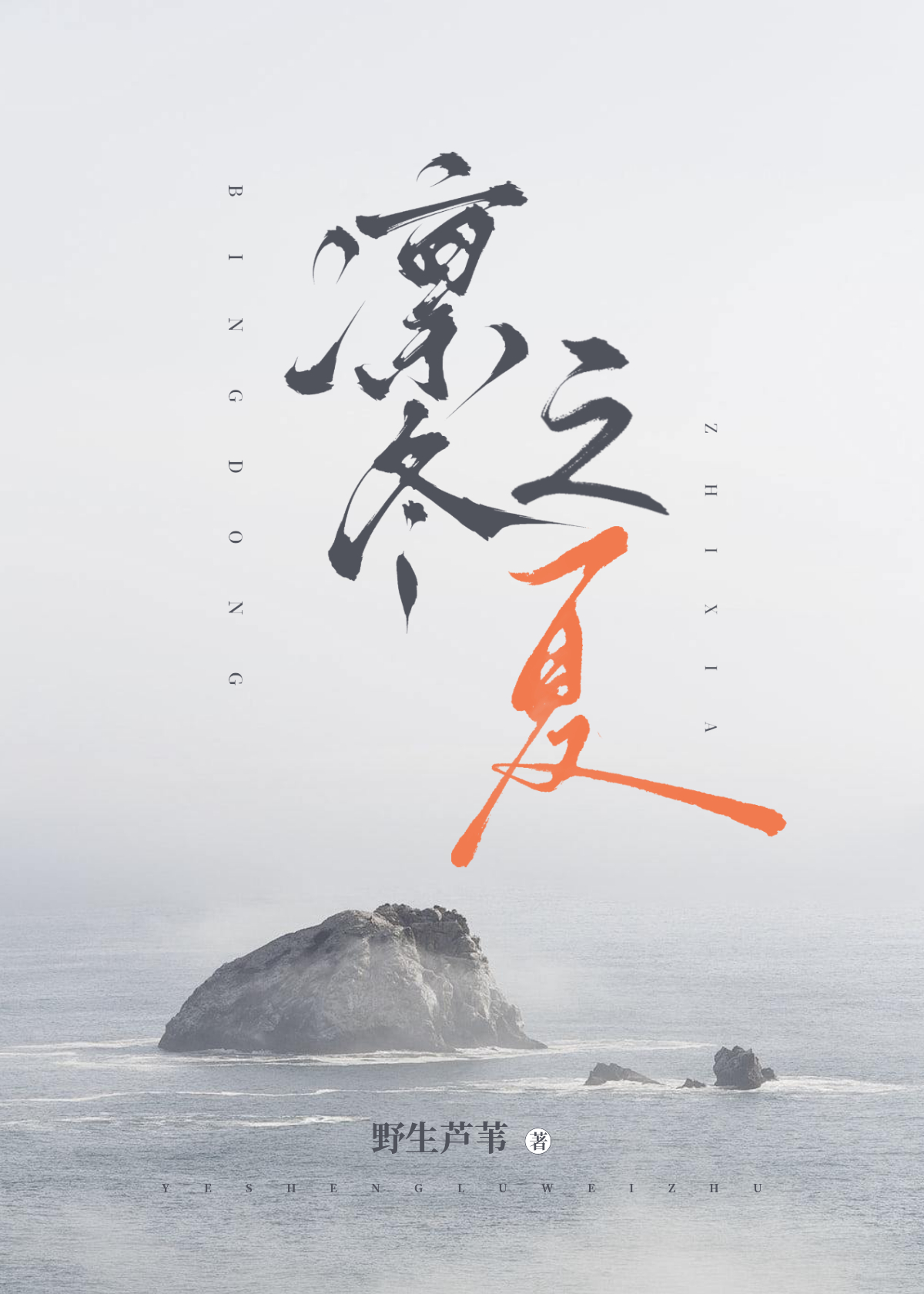 书名《凛冬之火》